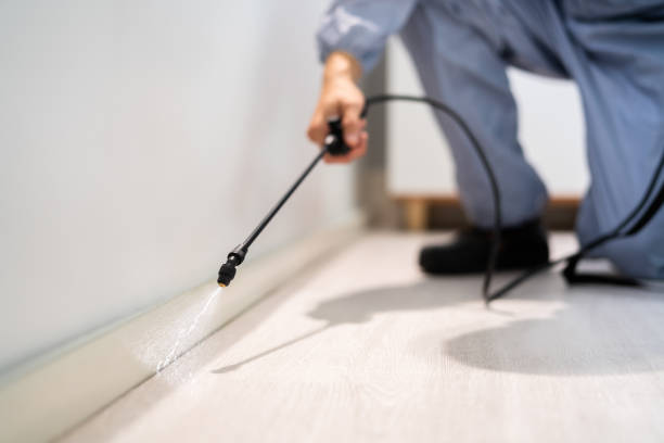 Licensed Fumigation Services service in Wyboo, SC - Nex Pest Control