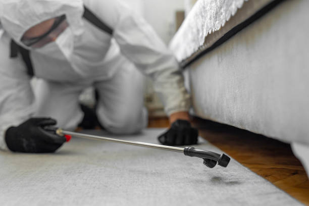 Professional Fumigation Services technician working in Wyboo, SC