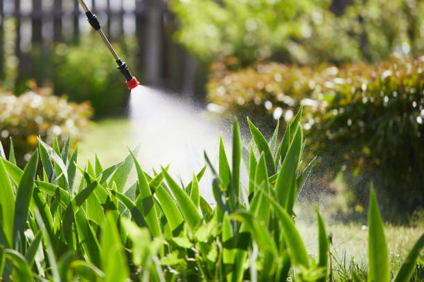24/7 Emergency Fumigation Services experts in Wyboo, SC