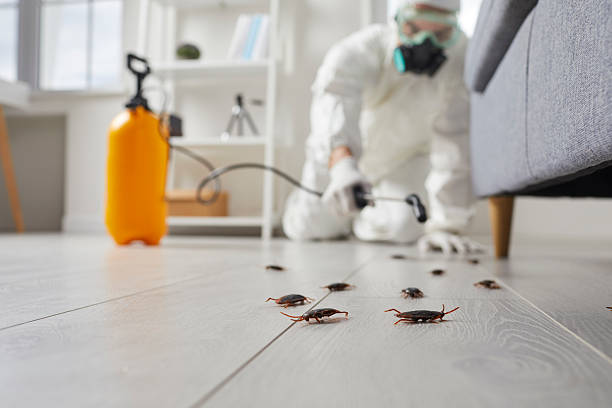 Trusted Bed Bug Control service in Wyboo, SC - Nex Pest Control
