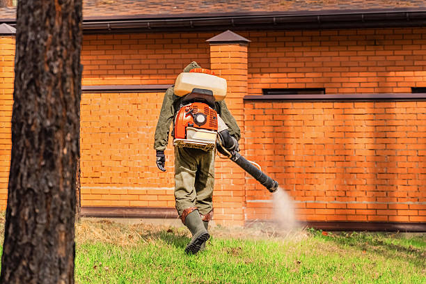 Trusted Termite Control service in Wyboo, SC - Nex Pest Control